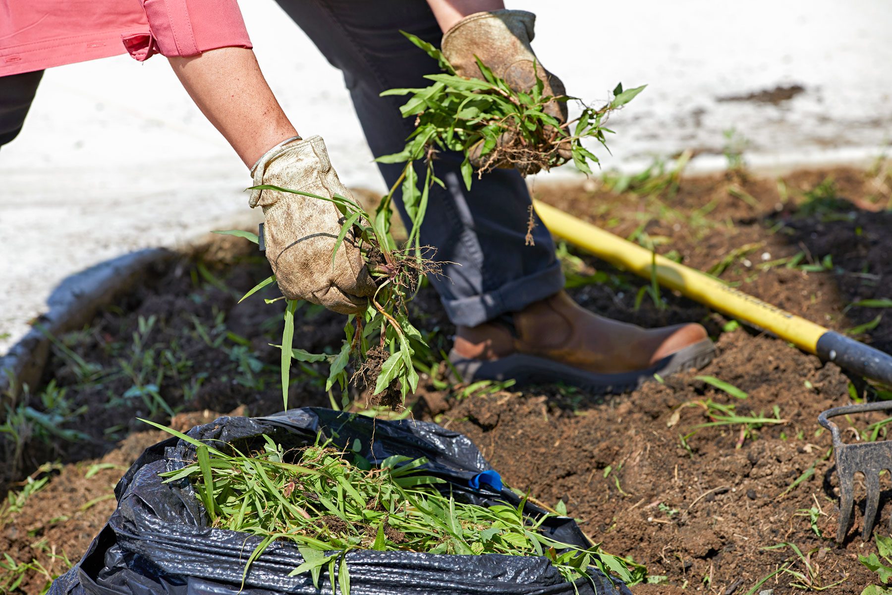 weeds are being removed