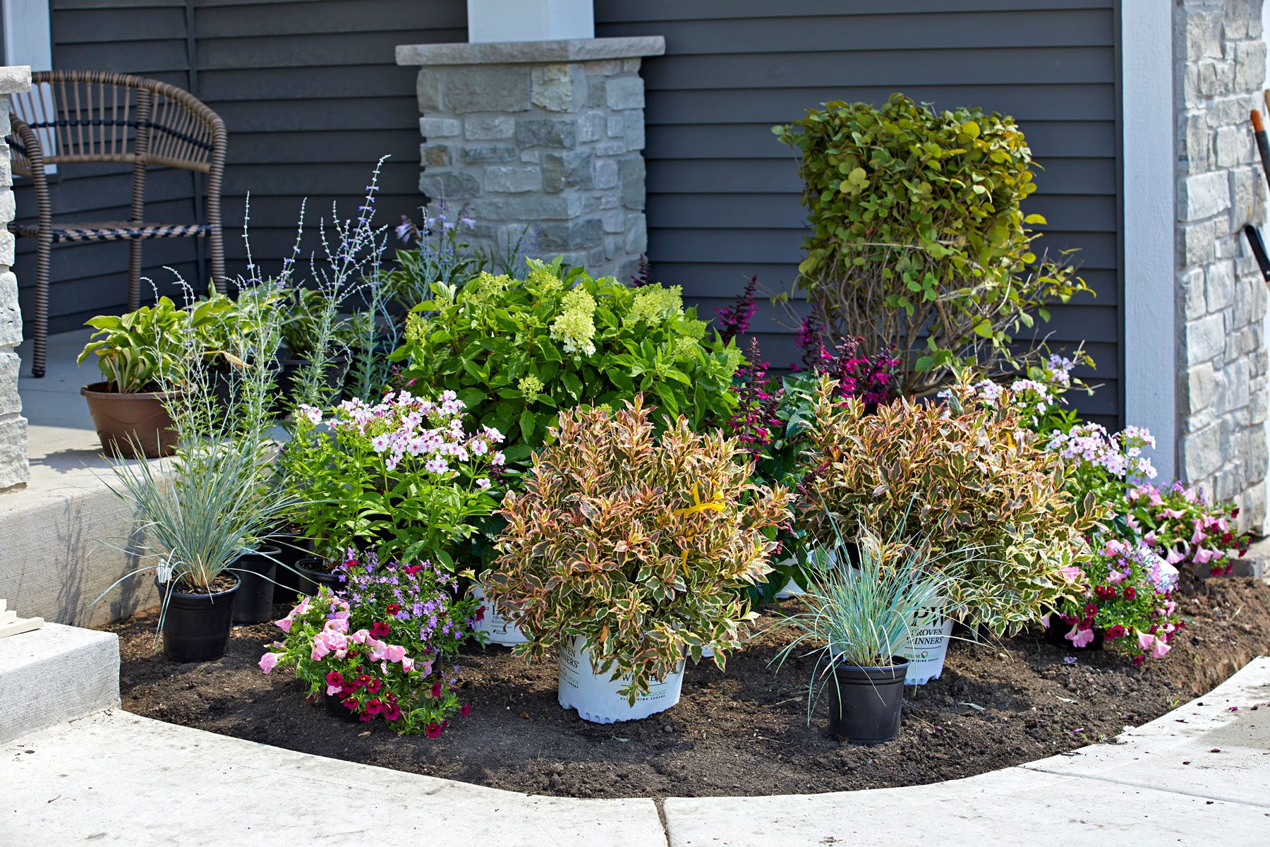 plants in plastic pots placed on the ground in the garden space