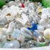 Should You Recycle Light Bulbs or Just Throw Them Away?