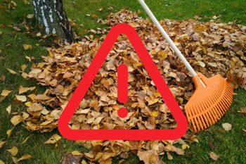 A red warning symbol is overlaid on a pile of fallen autumn leaves on the grass. An orange rake is partially visible, leaning against the pile. A tree trunk is visible on the left side.