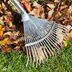 16 Useful Tools for Collecting Leaves