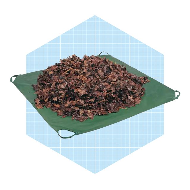 Useful Tools For Collecting Leaves Leaf Tarp