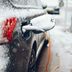 15 Essential Winter Maintenance Tips for EVs and Hybrid Cars