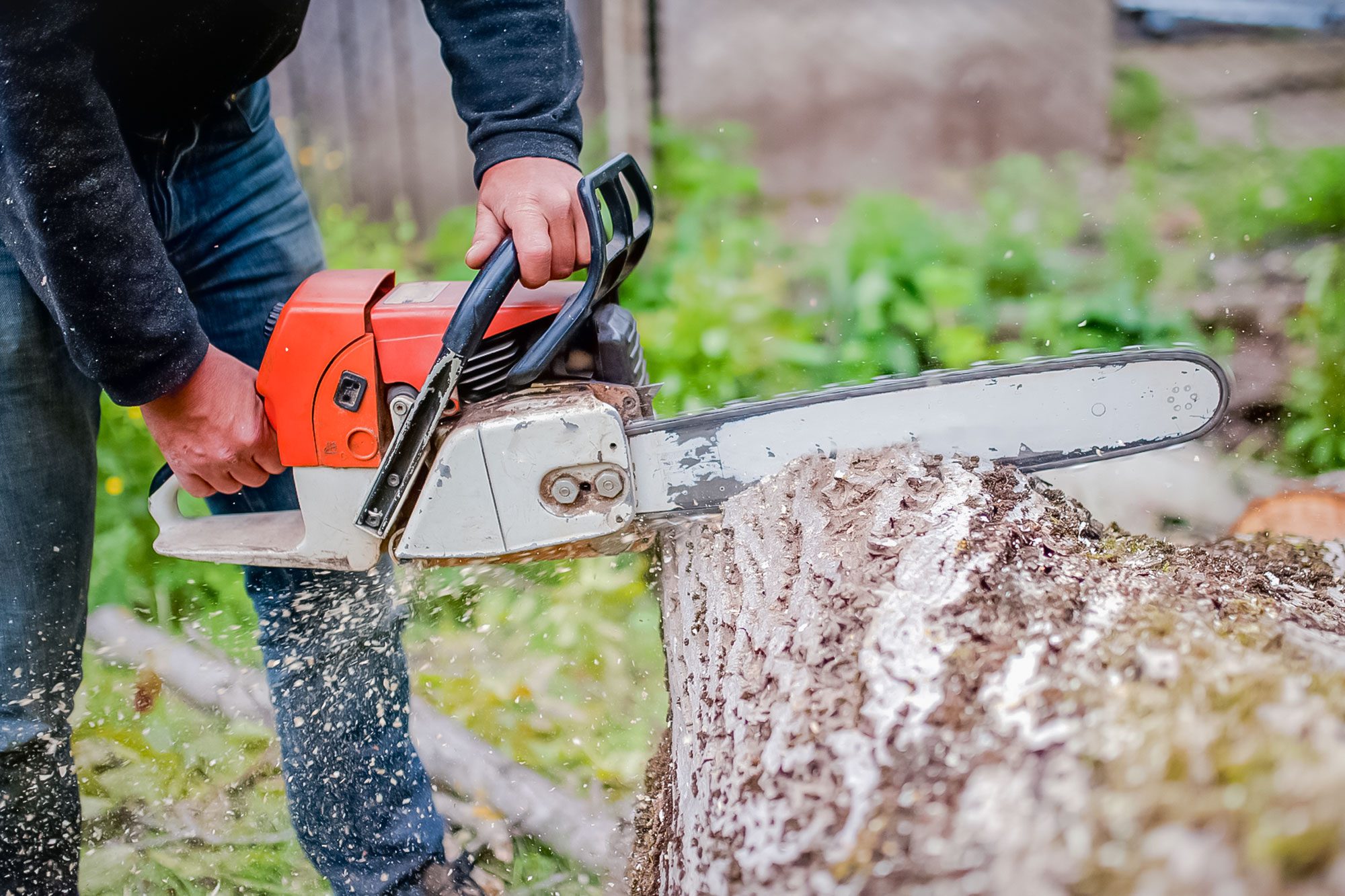 Battery Chainsaw