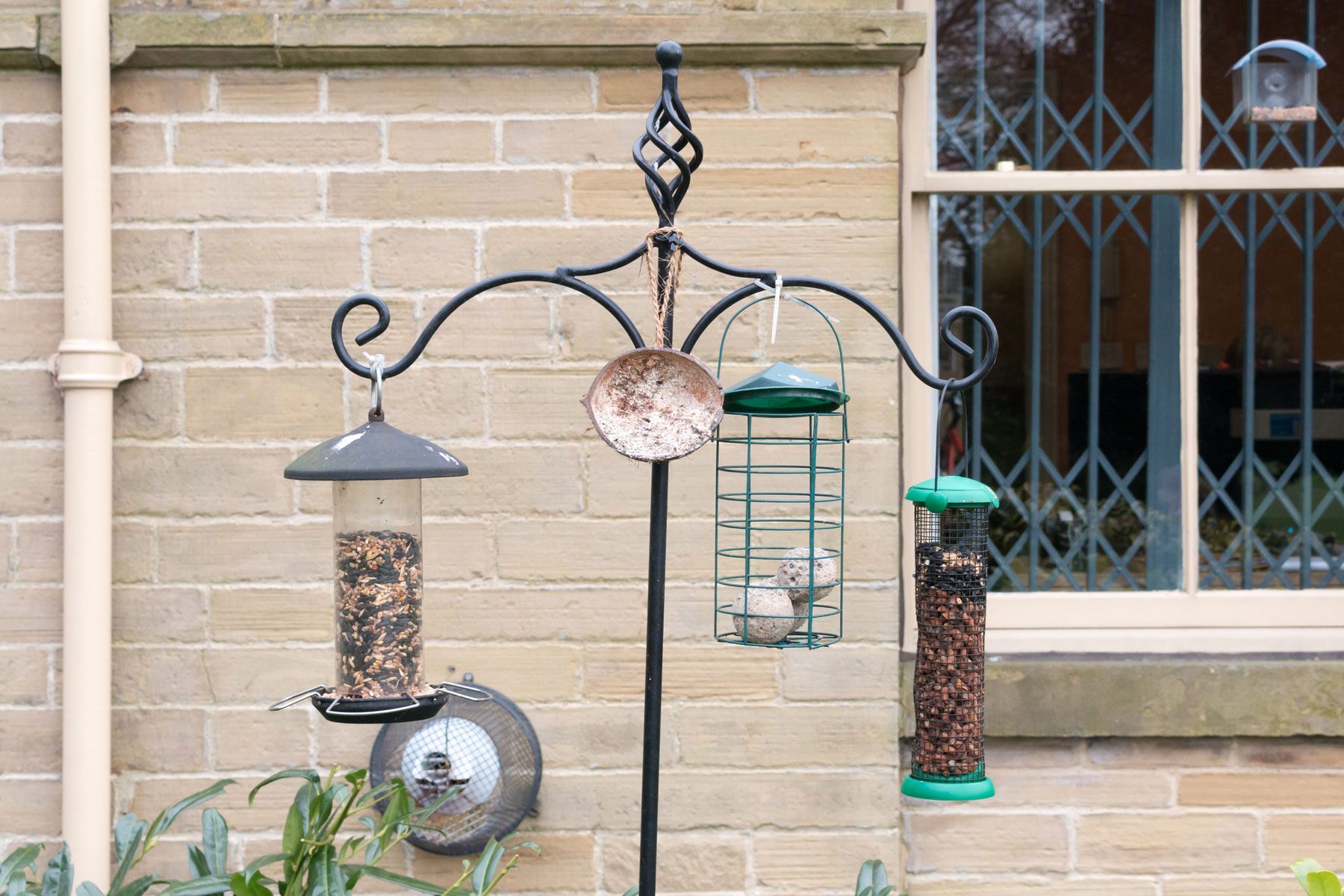 8 Bird Feeder Poles and Feeding Systems to Attract Feathered Friends