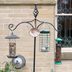 8 Bird Feeder Poles and Feeding Systems to Attract Feathered Friends