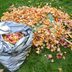 Could This Hack Make Bagging Leaves Easier?