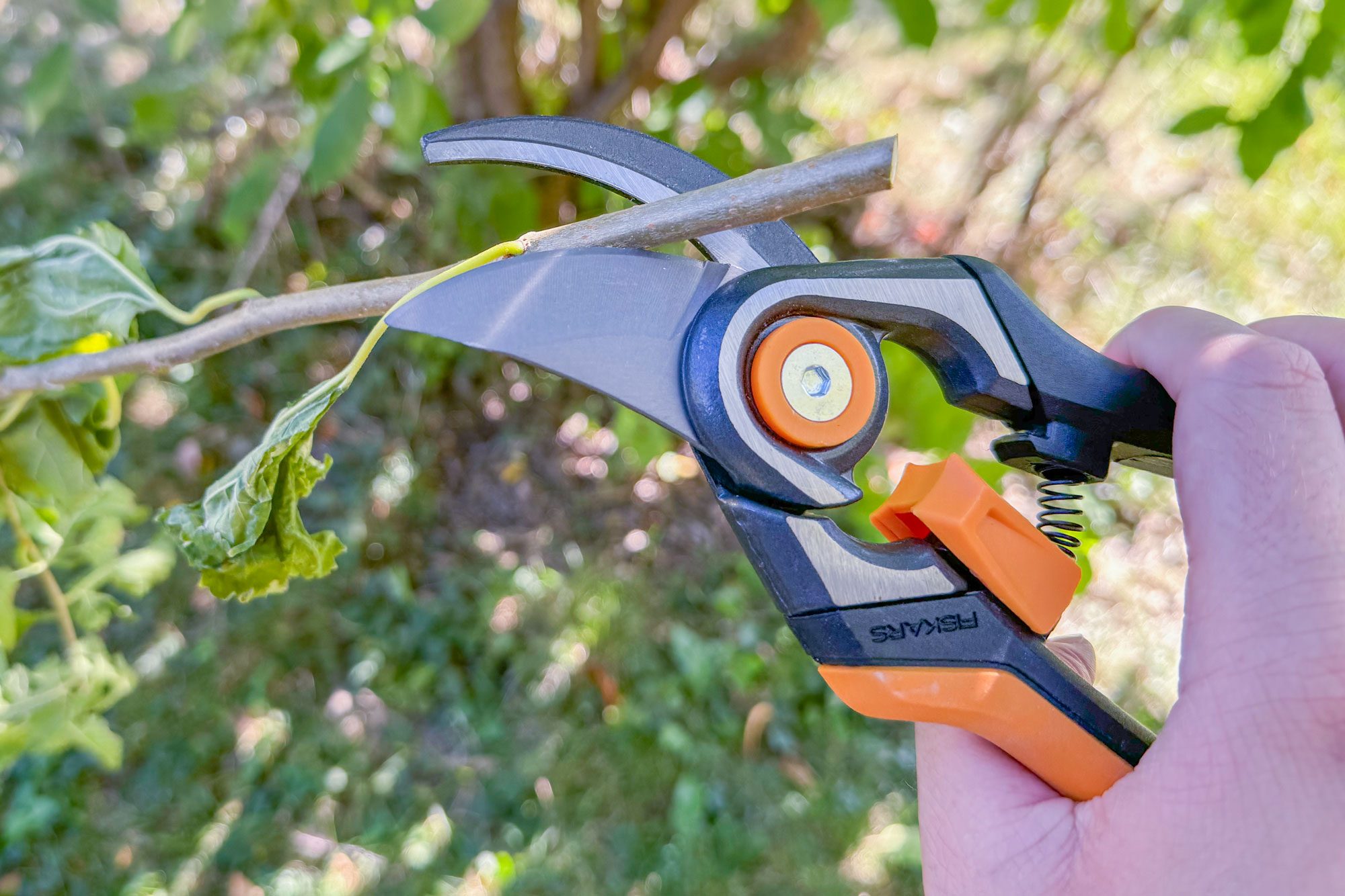 Fiskars Pruners Review Softgrip Touch Points