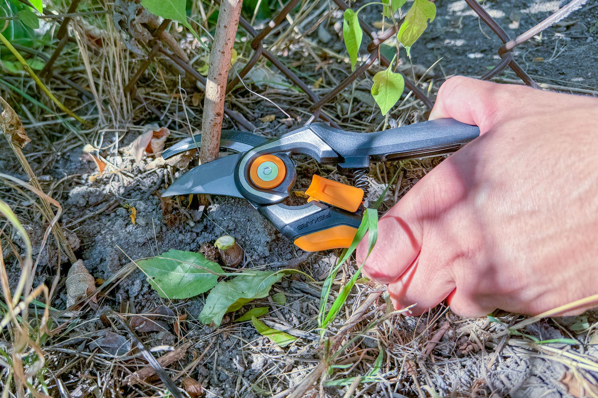 Fiskars Pruners Review Final Verdict