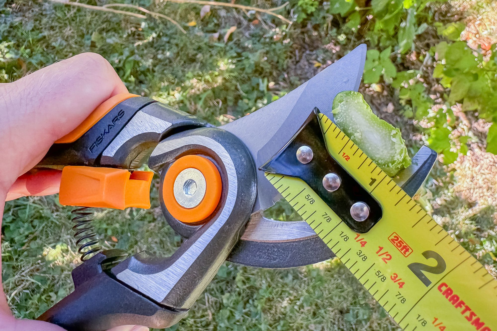 Fiskars Pruners Review Final Verdict