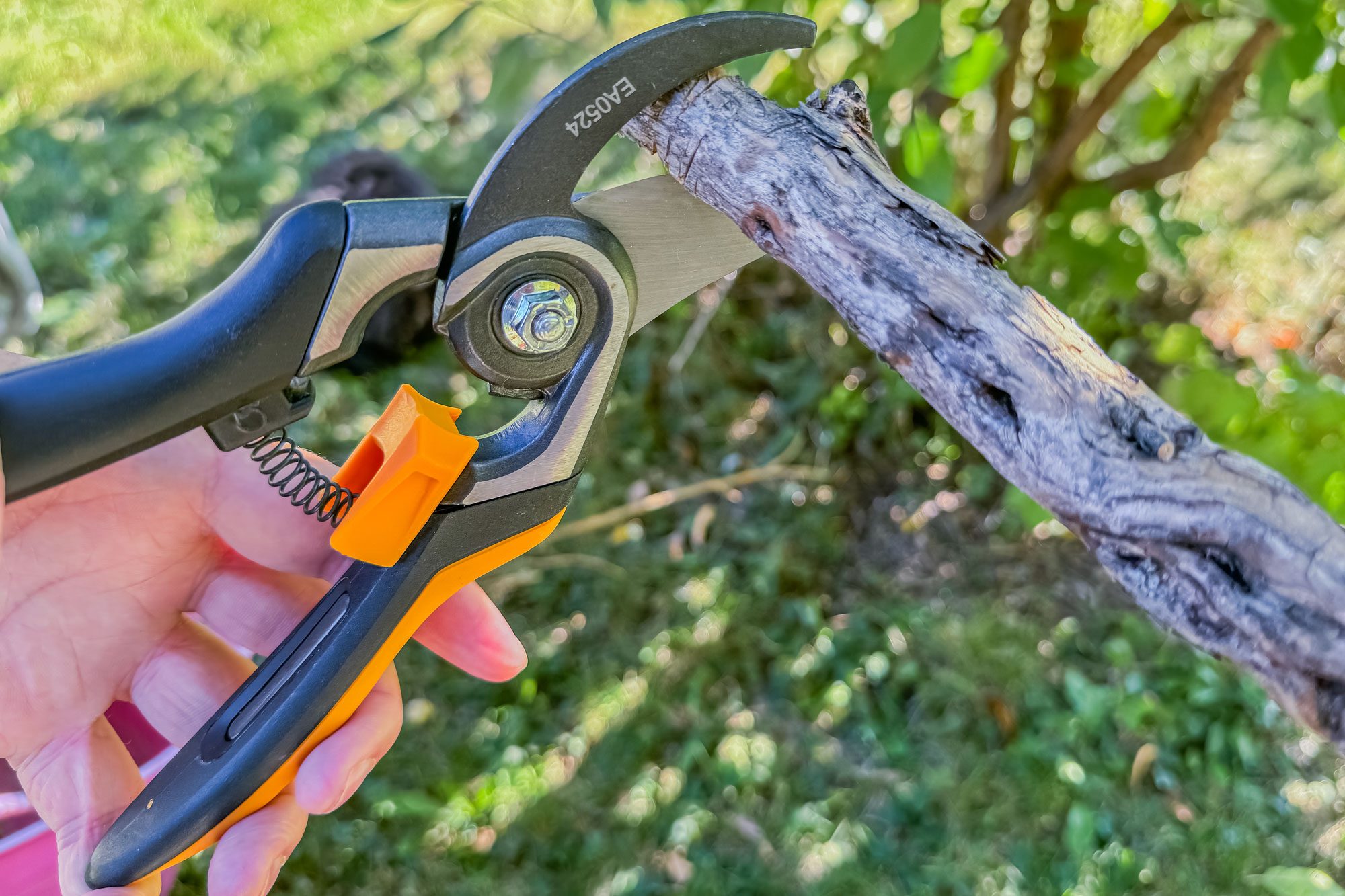 Fiskars Pruners Review: We Tried It and Got the Most Bang for Our Buck