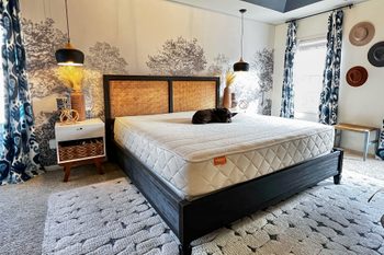 A modern bedroom with a large black bed frame and a new mattress. On the bed lies a small black dog. The room features blue and white tree-patterned curtains, two hanging lamps, a nightstand, and decorative wall hats.