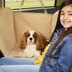 9 Best Dog Car Seat Covers for Easier Cleaning