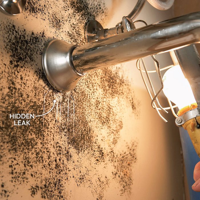 Mold Testing Check for Plumbing Leaks