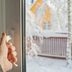 Should You Leave a Window Open in the Winter? All the Pros and Cons