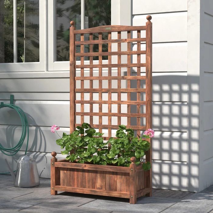 Bragg Wood Elevated Planter With Trellis