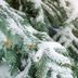 Is It Safe To Spray Snow On a Pre-Lit Christmas Tree?