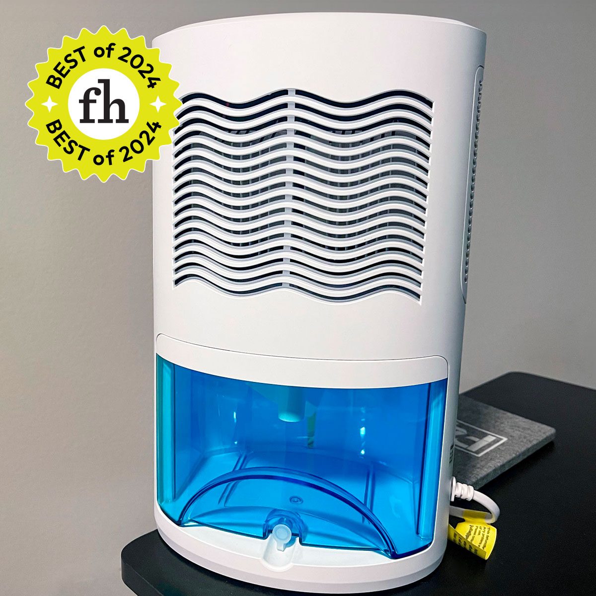 Gocheer Dehumidifier