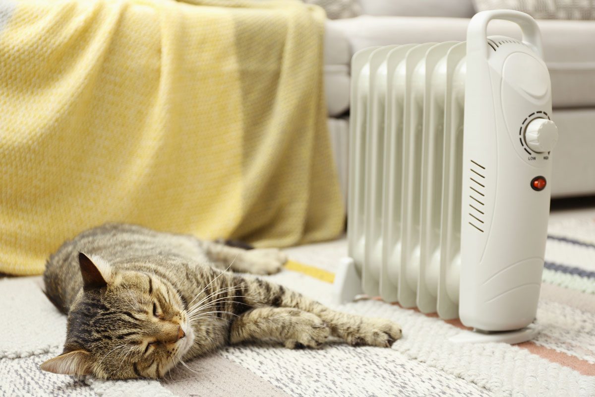 cat near heater inside room