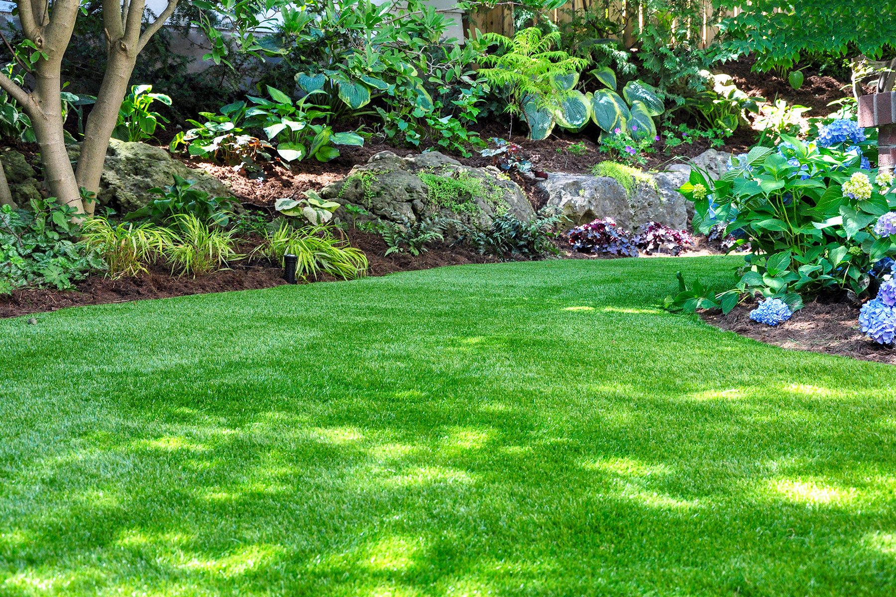 8 Must-Know Tips to Drought-Proof Your Lawn