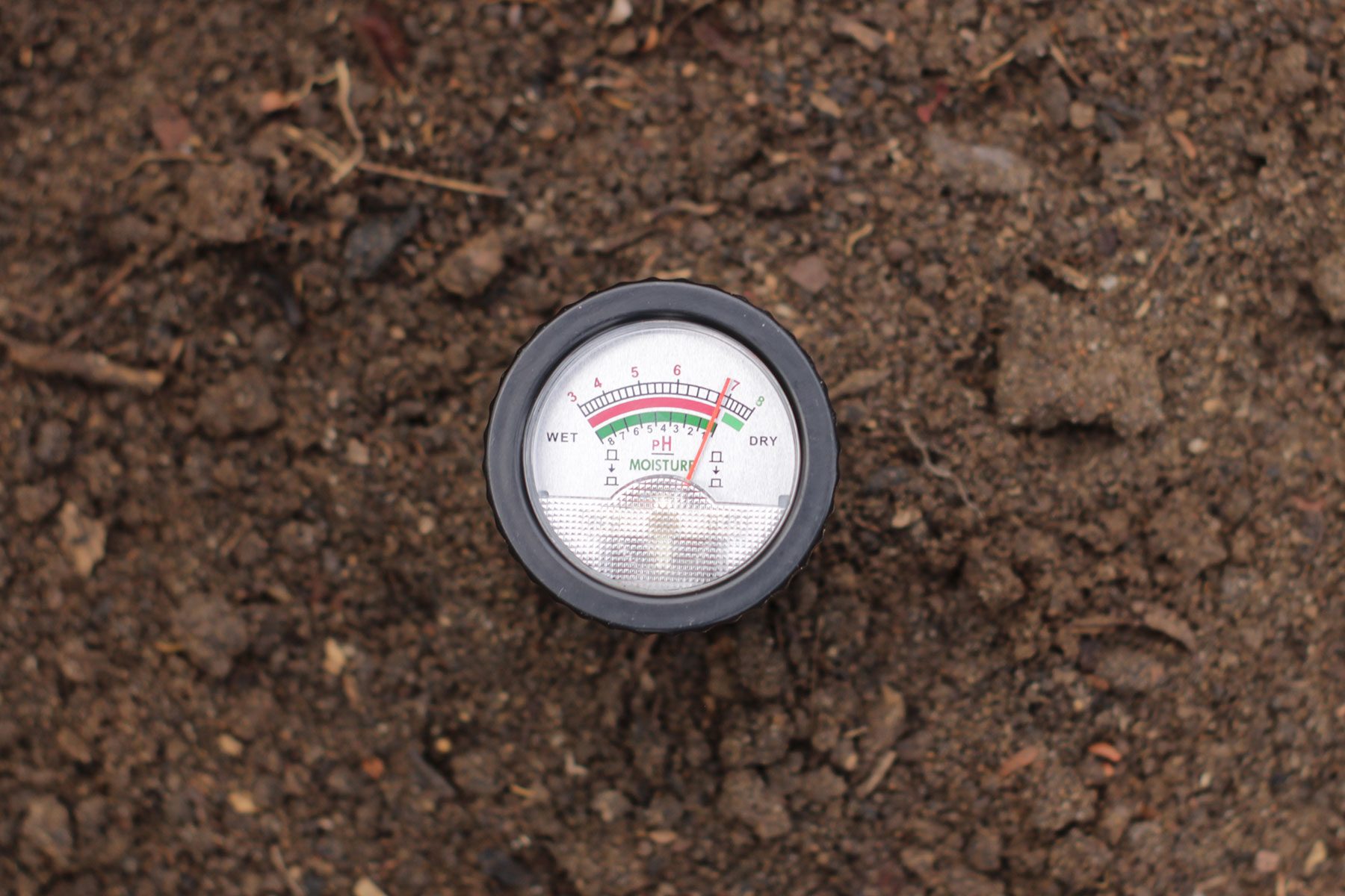 How To Make Your Lawn Drought Proof Gettyimages 1467208040