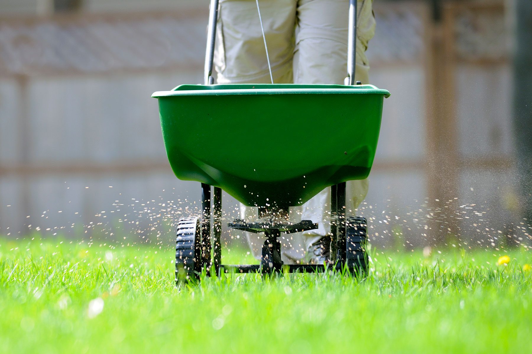 How To Make Your Lawn Drought Proof Gettyimages 172792355