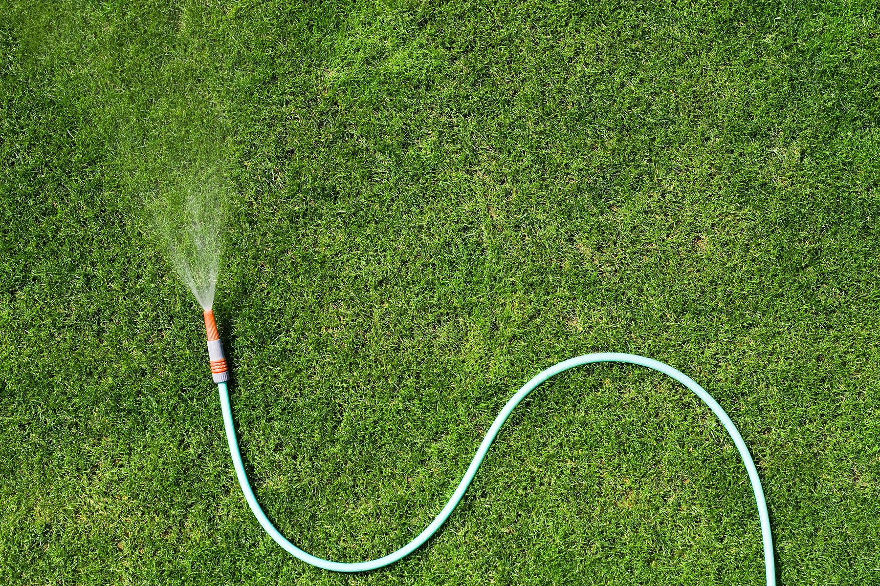 How To Make Your Lawn Drought Proof Gettyimages 95857545