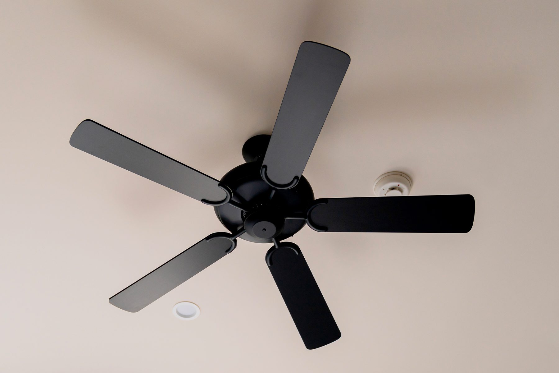 Which Way Should a Ceiling Fan Spin?