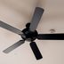 Which Way Should a Ceiling Fan Spin?