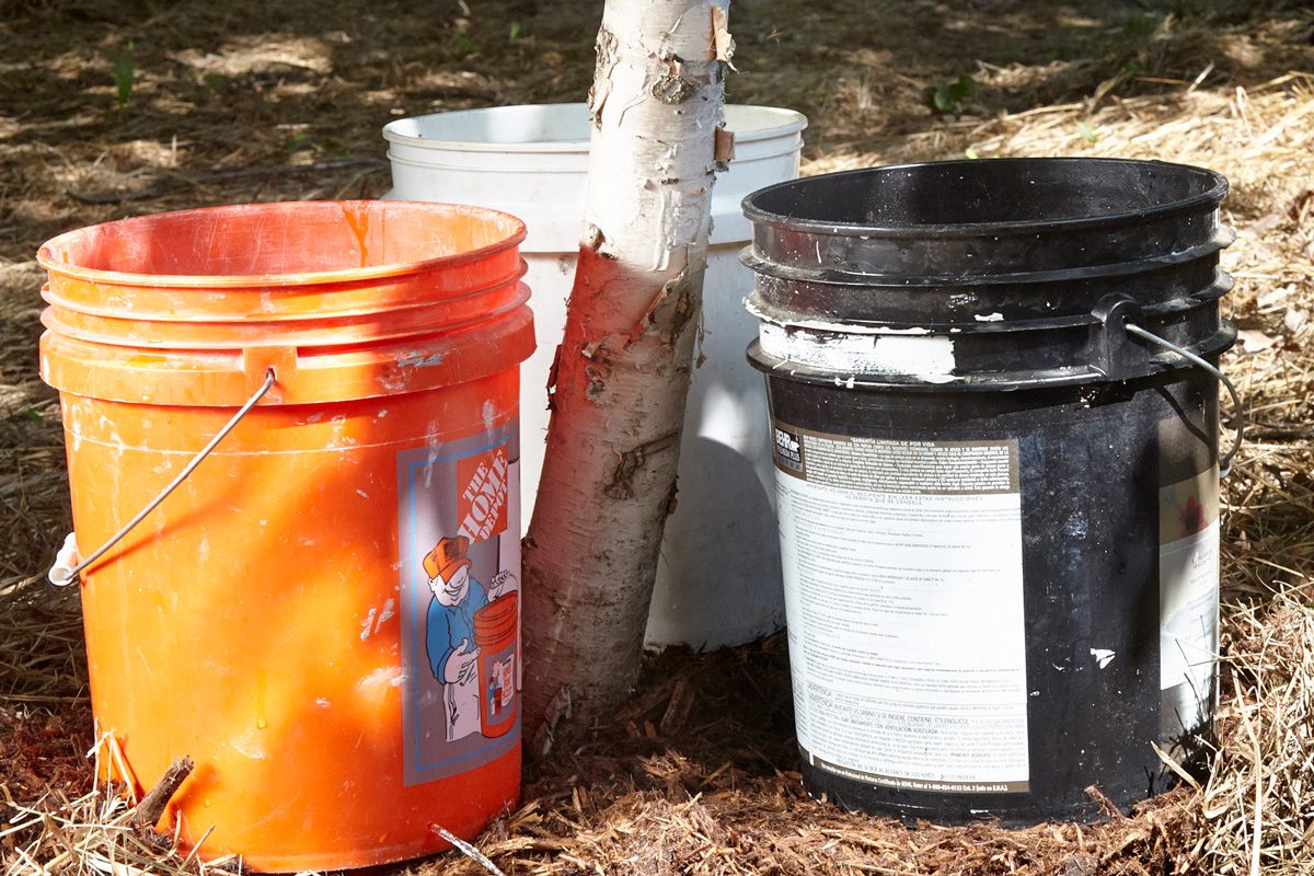 buckets near a tree