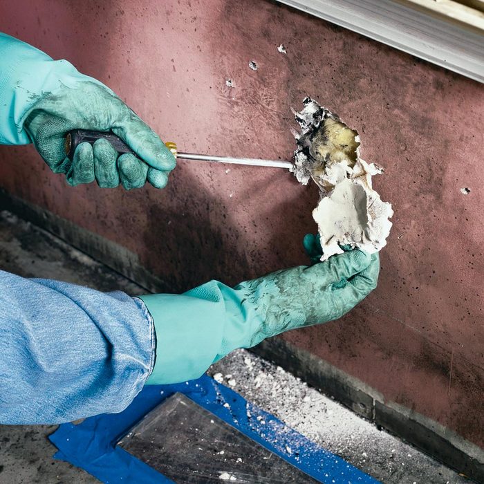 13 Tips To Help Identify And Prevent A Mold Problem In Your House - checking mold with screwdriver