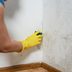 13 Tips to Help Identify and Prevent a Mold Problem in Your House