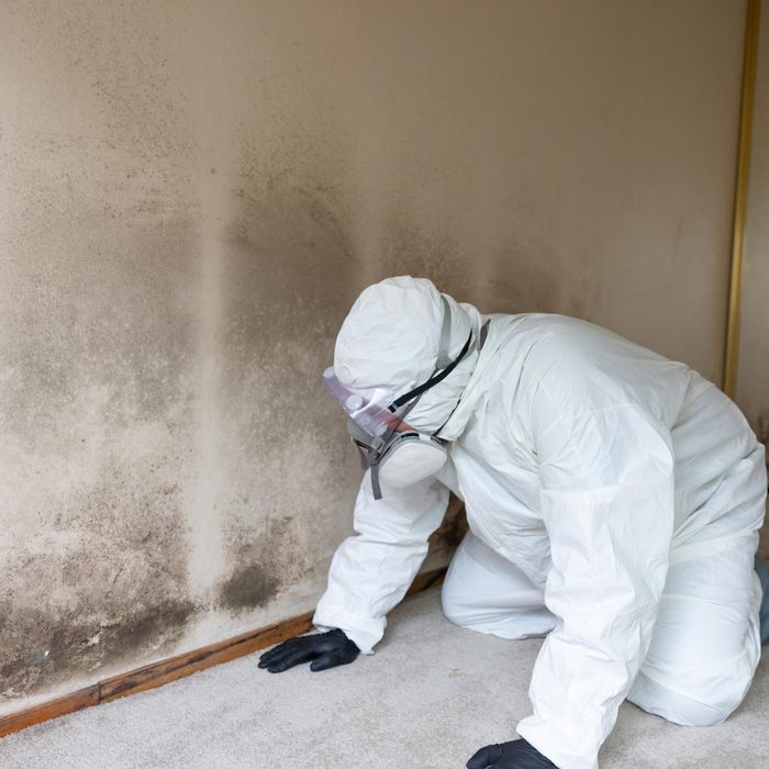 13 Tips To Help Identify And Prevent A Mold Problem In Your House - professional person checking mold