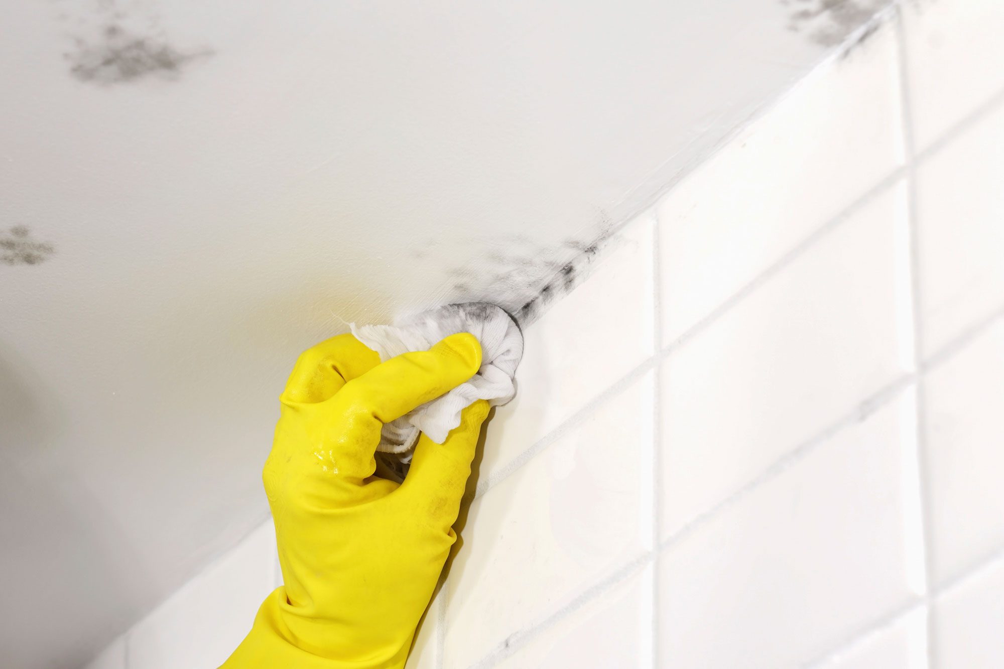 Clean Mold With Vinegar