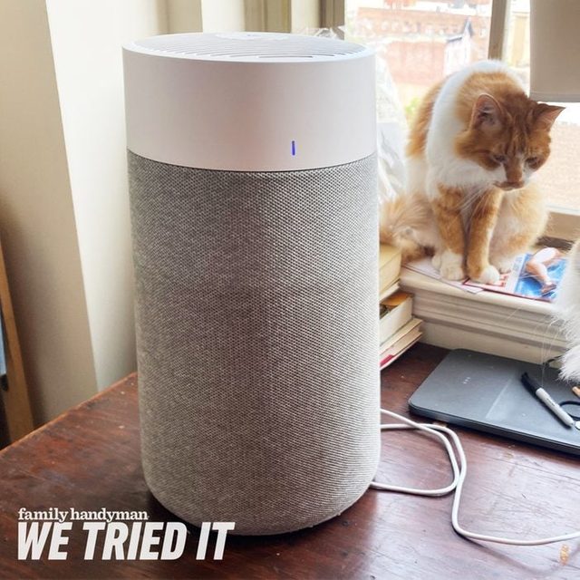 Fhm We Tried It Blueair Air Purifier Allison Robicelli For Fhm Jvedit