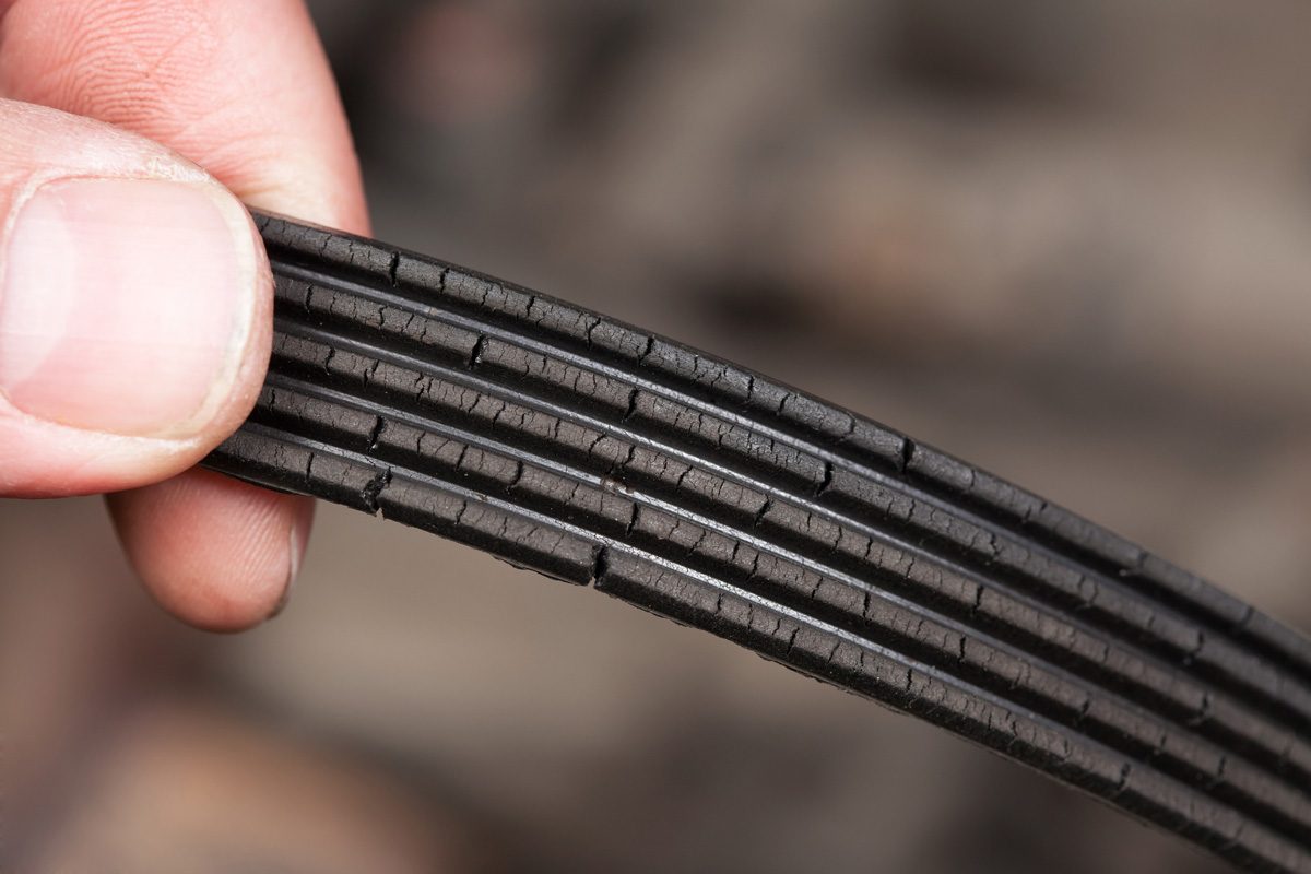 Mechanic Holding a Cracked Serpentine Belt