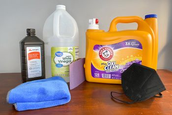 Fhmd25 How To Clean Mold Off Wood Noelle Devoe 06 Ssedit