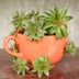 7 Clever Ways to Repurpose Household Items