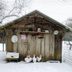 Keep Your Flock Cozy: Essential Tips for Winterizing Your Chicken Coop