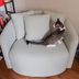 I've Had This Walmart Drew Barrymore Chair for Over a Year—And It's Still My Favorite Reading Spot